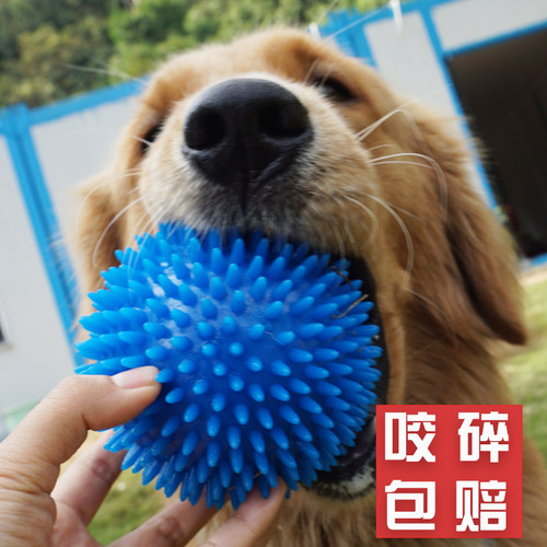 狗玩具发声弹力球狗狗拉布拉多