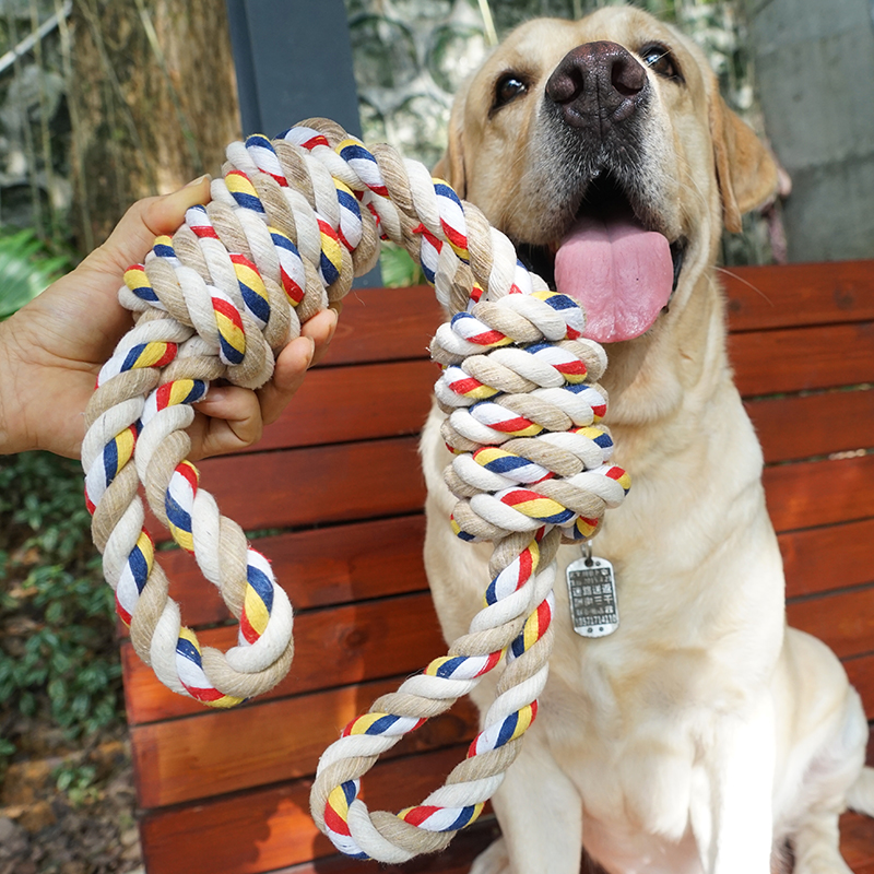 宠物玩具耐咬绳结互动磨牙棒小中大型犬狗狗咬胶金毛大狗洁齿玩具 宠物/宠物食品及用品 磨牙洁齿玩具/绳结玩具 原图主图