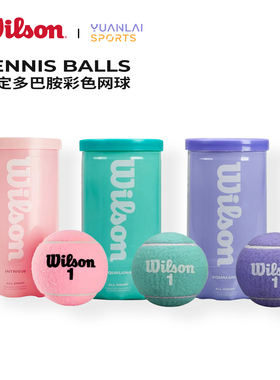 wilson威尔胜粉色网球法网美网澳网费德勒黑罐专业比赛训练用球筒