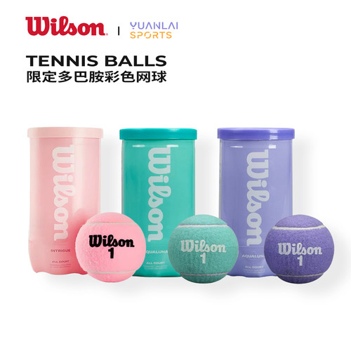 wilson威尔胜粉色网球法网美网澳网费德勒黑罐专业比赛训练用球筒