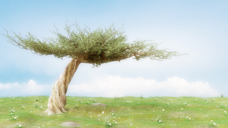 唯美风景树天上世外桃源草地云彩高清led大屏幕舞台背景虚拟图片