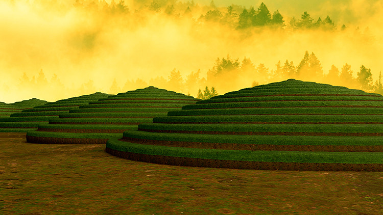 茶园茶山茶树绿色风景田园郊外高清led大屏幕舞台背景虚拟静态图