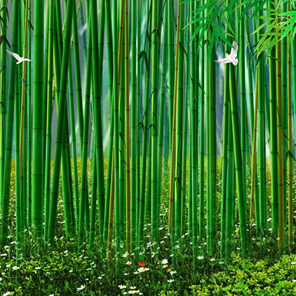 高清led大屏幕舞台背景竹海竹子花草小鸟绿色蝴蝶虚拟静态图片