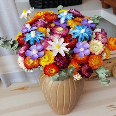 太阳花麦秆菊花真花风干