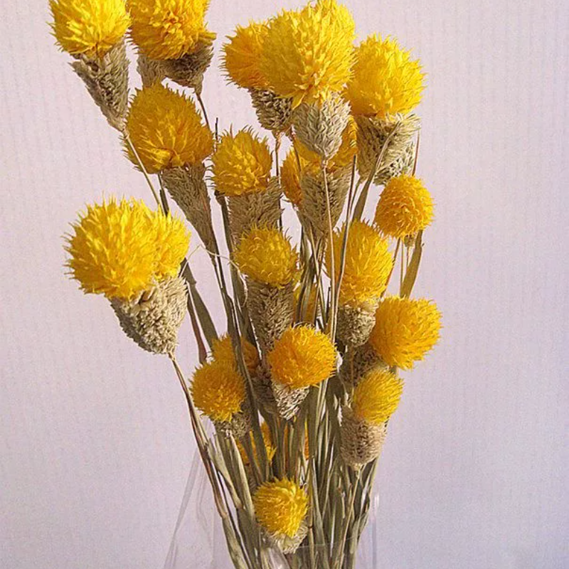 云南干花真花家居装饰插花束餐桌草莓花瓶摆件客厅满天星轻奢高档