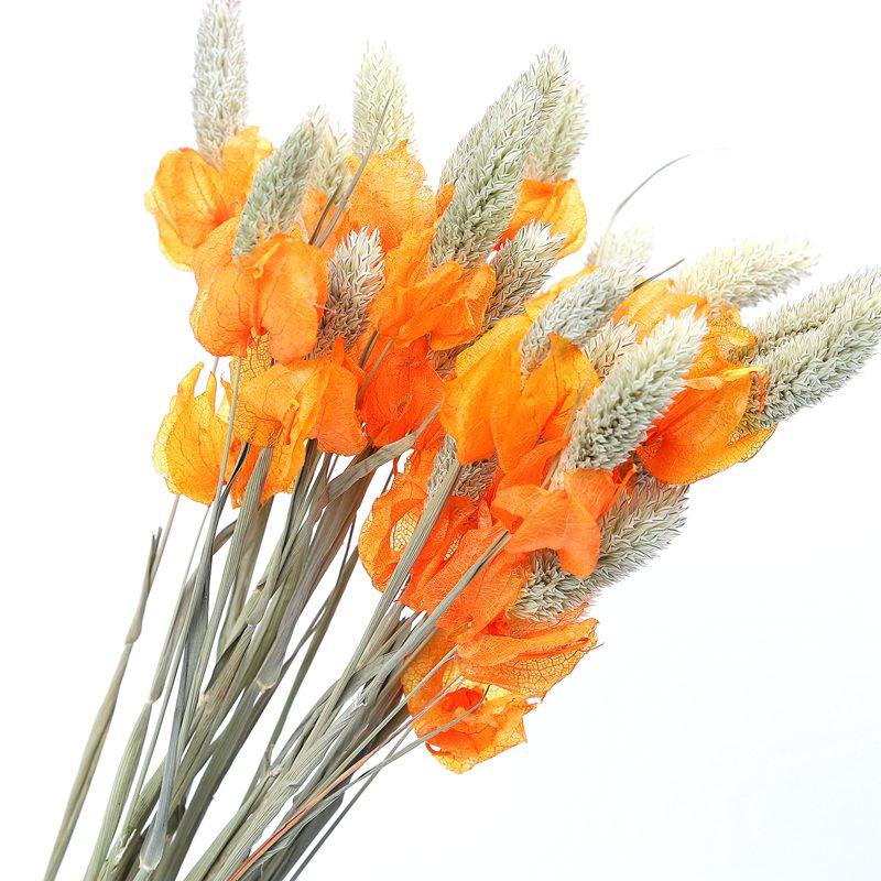 云南干花【含笑花】8色餐桌飘窗玄关客厅束插花组合装饰花小华店