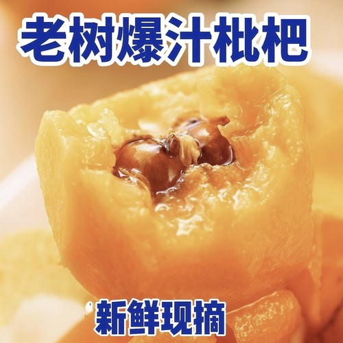 【农家地头直发】老树枇杷云南蒙自新鲜现摘的琵琶果