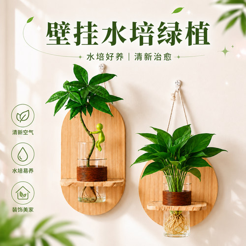木质壁挂水培植物发财树绿植富贵竹绿萝办公室内客厅墙面装饰摆件