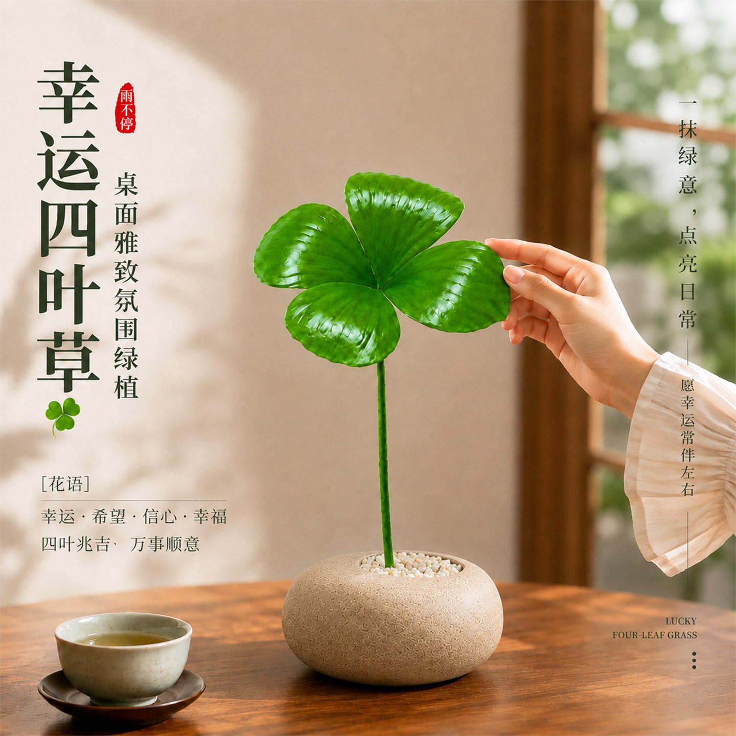 幸运四叶草墨西哥铁树植物水培养盆栽绿植办公室内禅意桌面小盆景