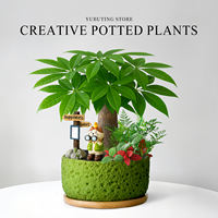 Money tree potted flowers, green plants, indoor plants, office desk bonsai, ornaments, living room, prosperous house, easy to take care of throughout the four seasons thumbnail 5