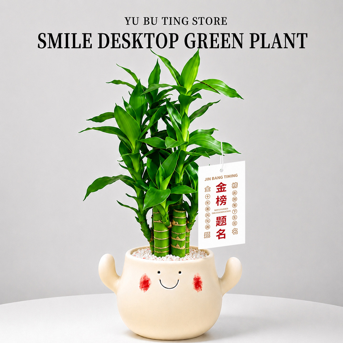 富贵竹盆栽文昌竹4支金榜题名粗杆带根绿植室内客厅招财转运植物