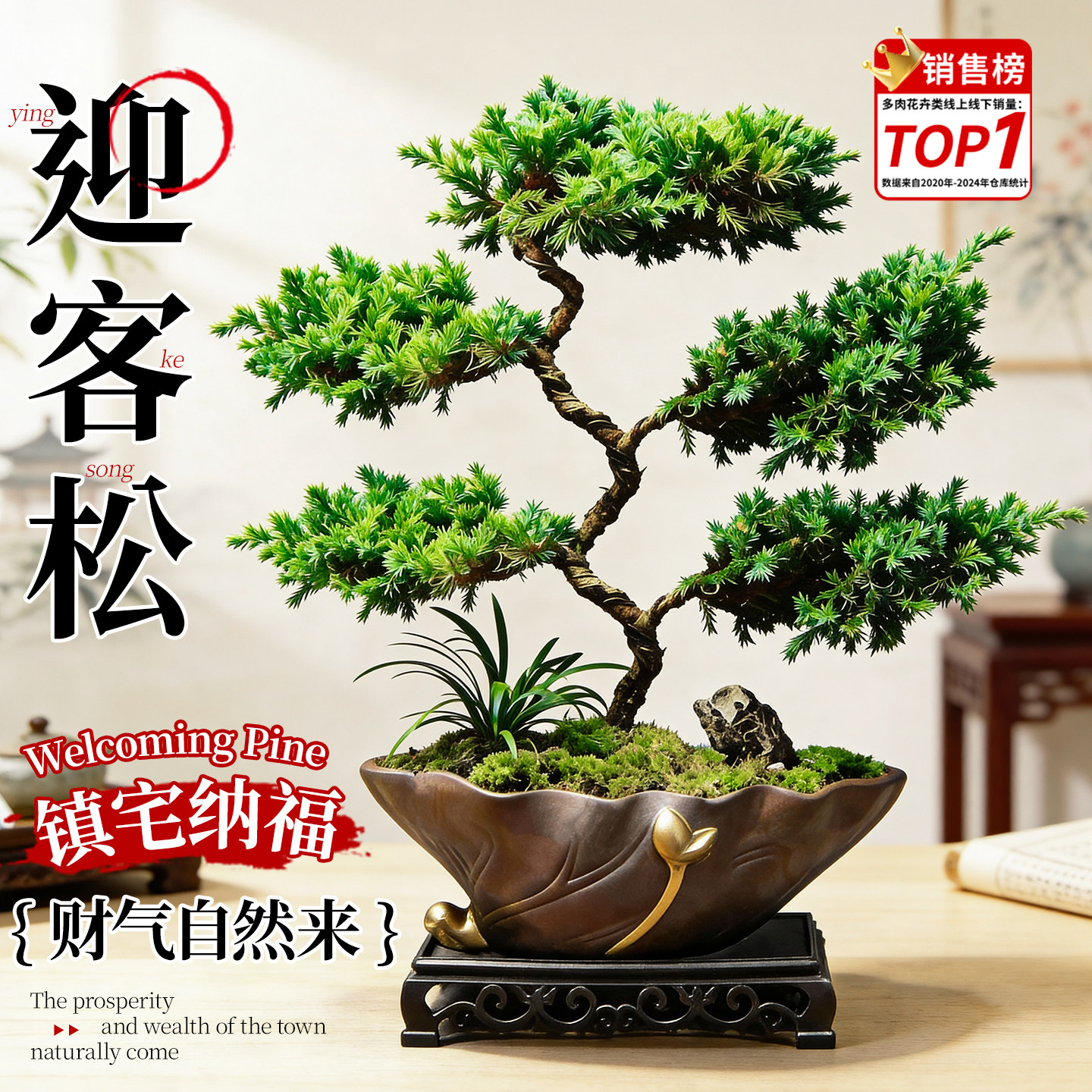 迎客松真树盆景五层塔松罗汉松老桩客厅摆件办公室内绿植盆栽好养,鲜花速递/花卉仿真/绿植园艺,造型盆景,淘宝优惠券,粉丝福利购,淘宝优惠卷