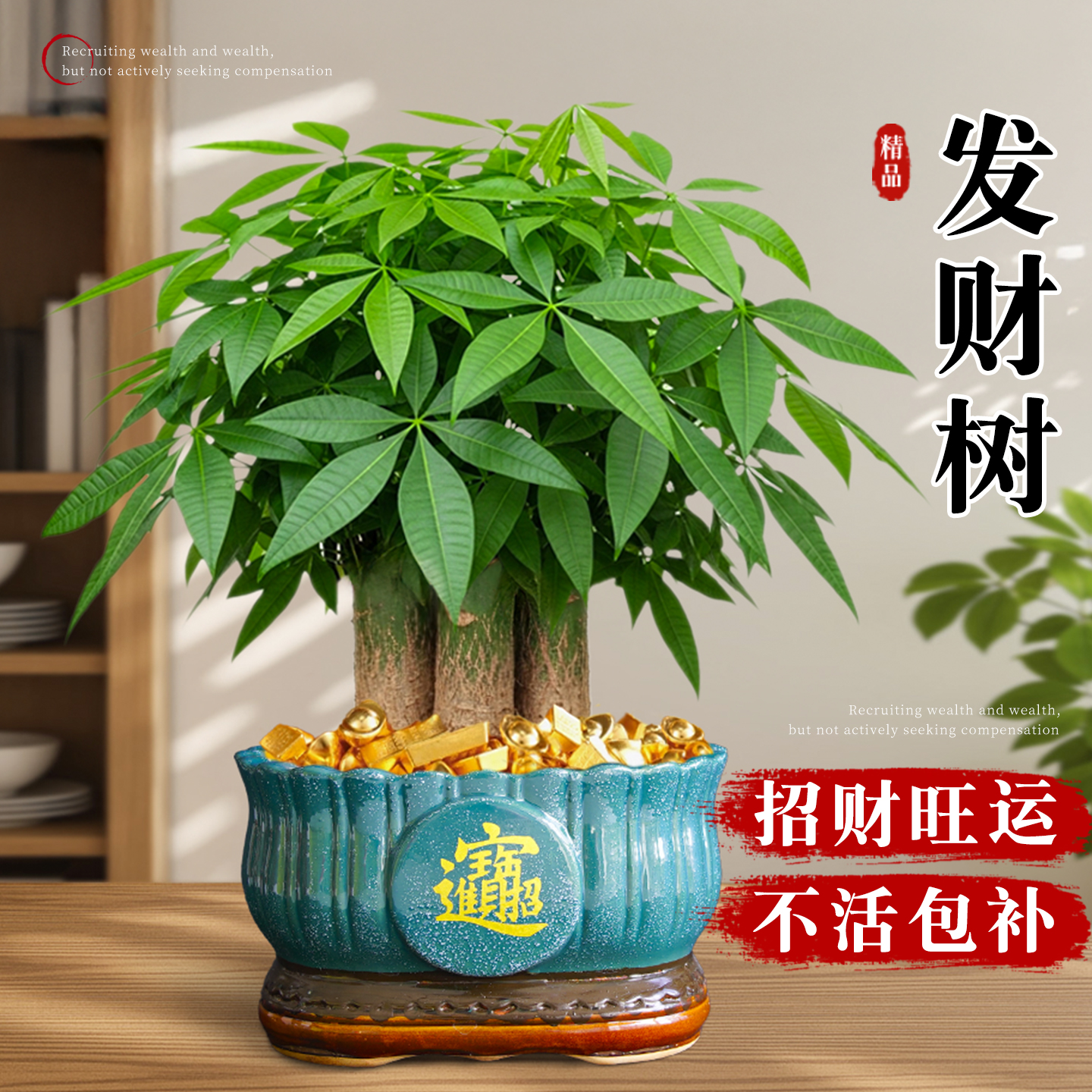 三杆发财树盆栽发财树旺财绿植