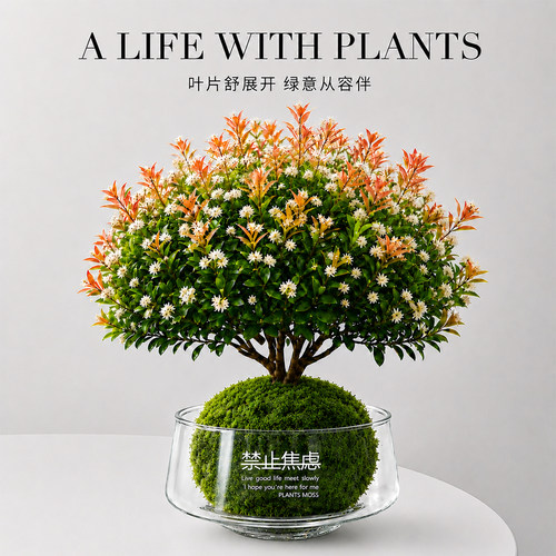 小叶赤楠苔藓球桌面绿植盆栽