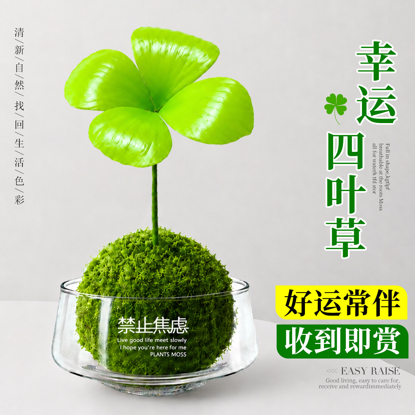 幸运四叶草墨西哥铁树苔藓球植物水培盆栽绿植办公室内桌面小摆件