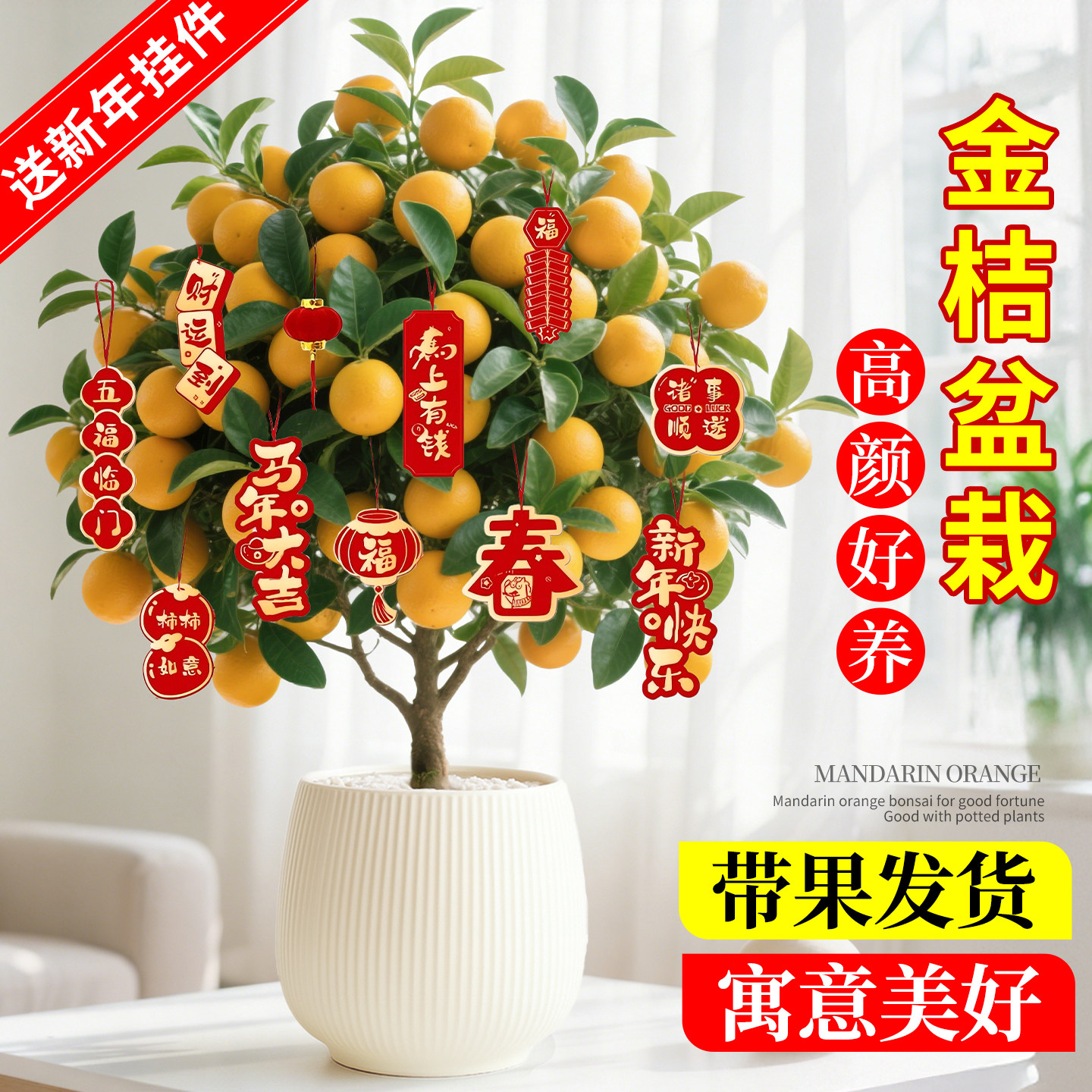 金桔树盆栽带果可食用四季橘子室内客厅阳台年宵花卉绿植好养植物,鲜花速递/花卉仿真/绿植园艺,绿植,淘宝优惠券,粉丝福利购,淘宝优惠卷