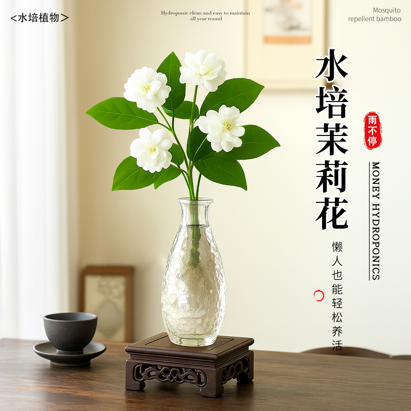 茉莉花水培植物盆栽室内好养