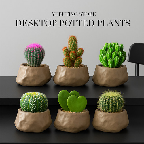 仙人球室内小盆栽实生红太阳万重山仙人掌多肉植物幼儿园礼物绿植