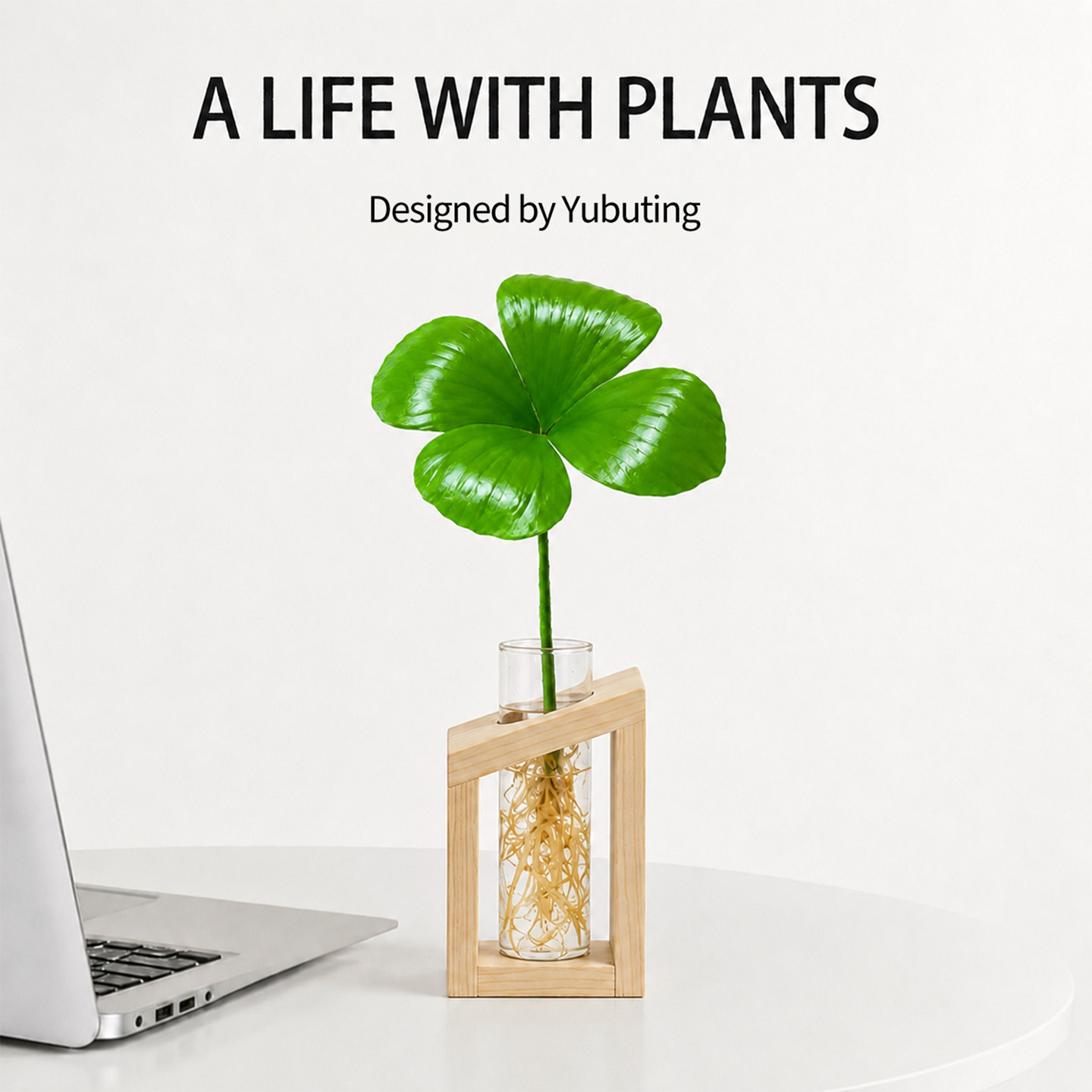 幸运四叶草墨西哥铁树苔藓球植物水培盆栽绿植办公室内工位小摆件