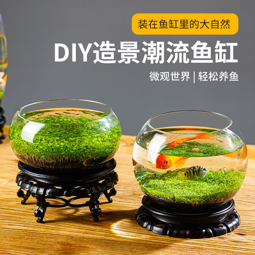 生态鱼瓶价格 多少钱 生态鱼瓶价格 多少钱