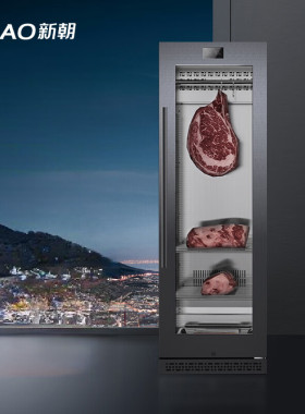 新朝 SICAO DA400S Pro干式熟成柜高档牛肉熟成柜智能冷藏  380L
