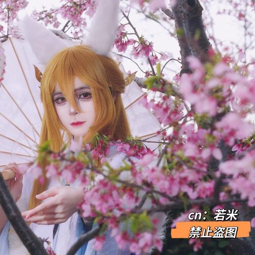 【预售三团】佛跳墙cos 雪狐解忧 食物语cos 古风 古装 古风