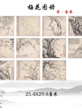 清 金农 梅花图册 古代名画 花卉册页宣纸高清复制临摹手稿装饰画
