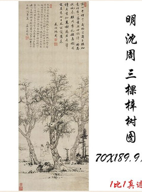 沈周三棵梓树图复古书画水墨花