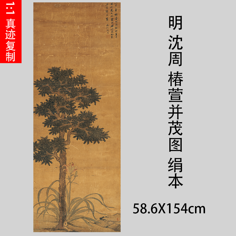 明 沈周 椿萱并茂图 绢本 仿古名家植物花卉工笔国画竖幅装饰画