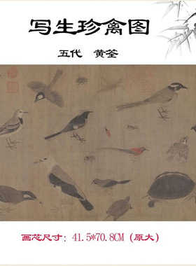 11五代黄筌写生珍禽图卷绢本高清