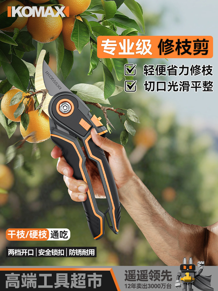 园艺剪家用果树修枝剪园林省力修剪工具花卉树枝嫁接专用小型剪子