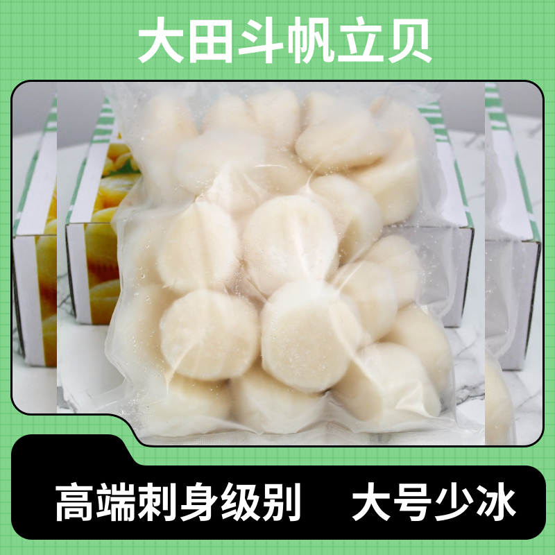 大田斗刺身级帆立贝柱M码-2L码