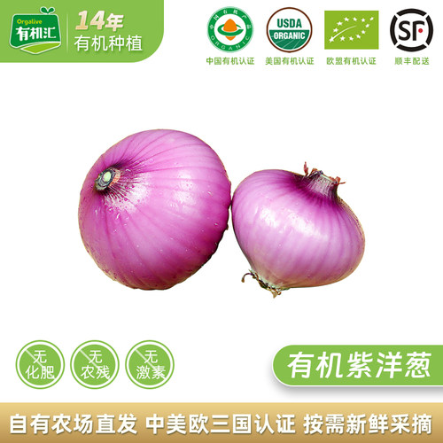 有机汇有机圆葱紫洋葱新鲜蔬菜
