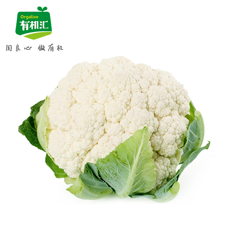 有机白菜花价格 有机白菜花图片 星期三