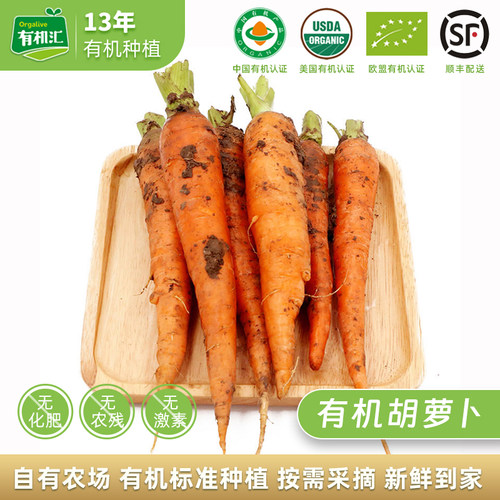 有机汇有机胡萝卜时令蔬菜新鲜