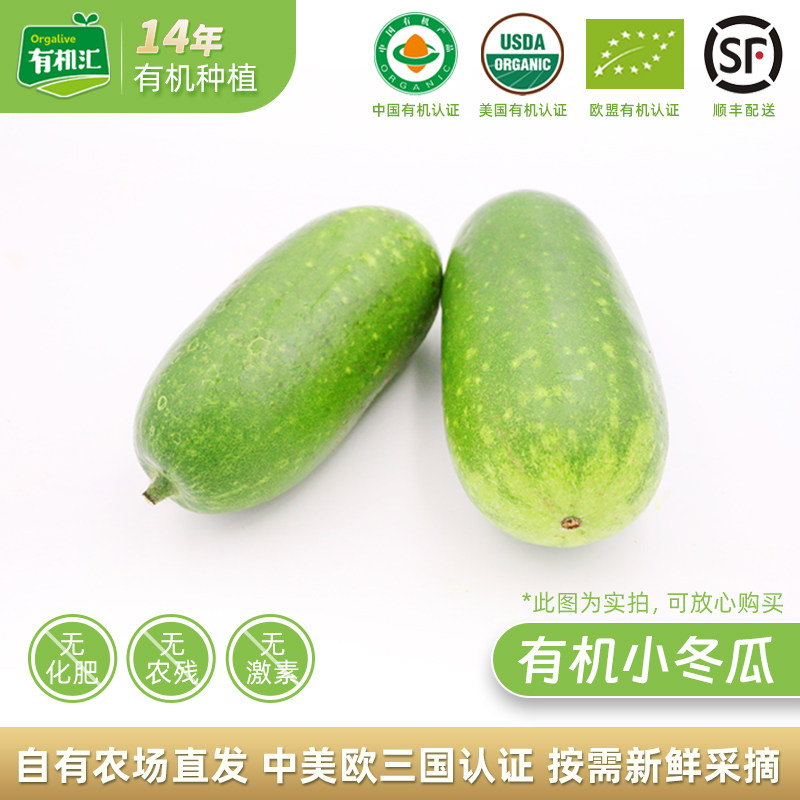 有机汇 有机冬瓜新鲜蔬菜大冬瓜宝宝辅食无农药5斤2-3个