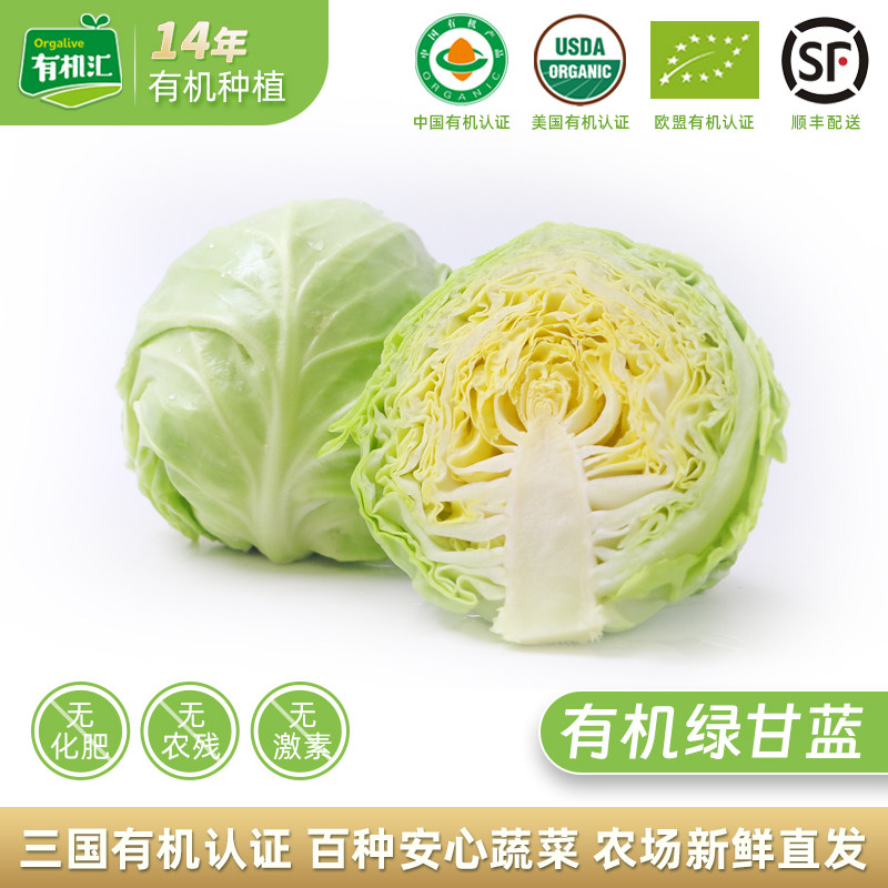 有机汇有机绿甘蓝 圆白菜新鲜蔬菜大头菜包菜卷心菜沙拉无农残