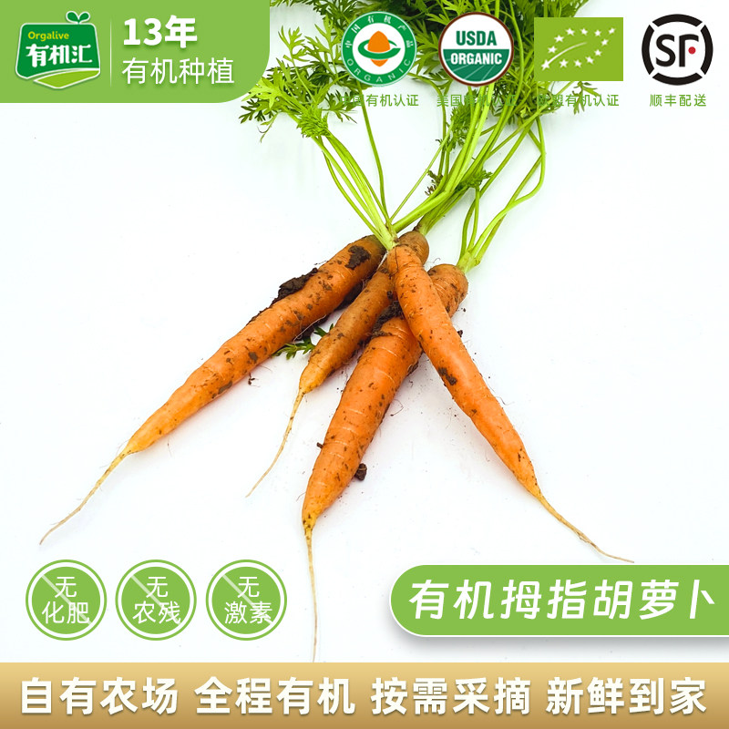 有机拇指胡萝卜 有机汇新鲜蔬菜水果手指萝卜沙拉配送生吃带泥,水产肉类/新鲜蔬果/熟食,萝卜/胡萝卜,淘宝优惠券,粉丝福利购,淘宝优惠卷