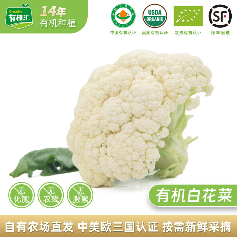 有机汇有机白花菜 花菜梗新鲜蔬菜时令花椰菜白菜花无农残辅食