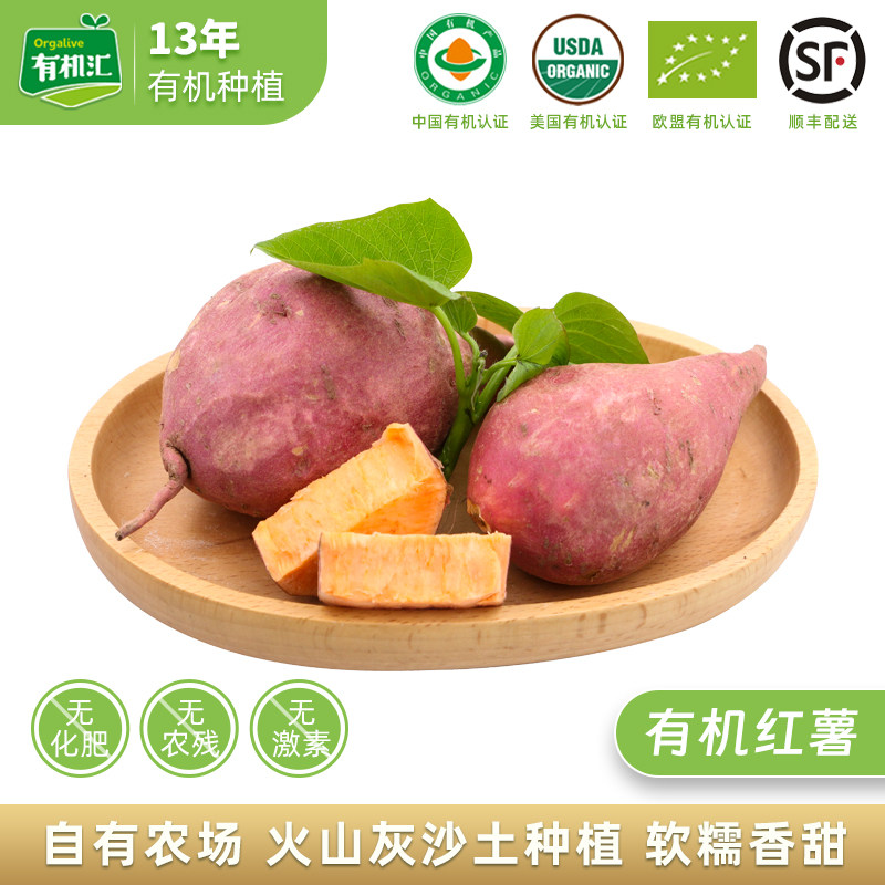 有机汇沙地红薯 地瓜农场自种甜糯沙地番薯宝宝辅食顺丰1斤装