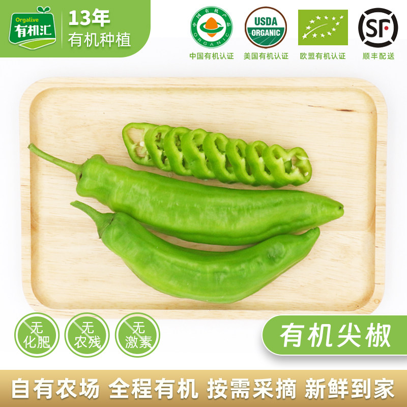 有机汇有机尖椒 辣椒新鲜蔬菜尖椒绿色农场种植有机菜