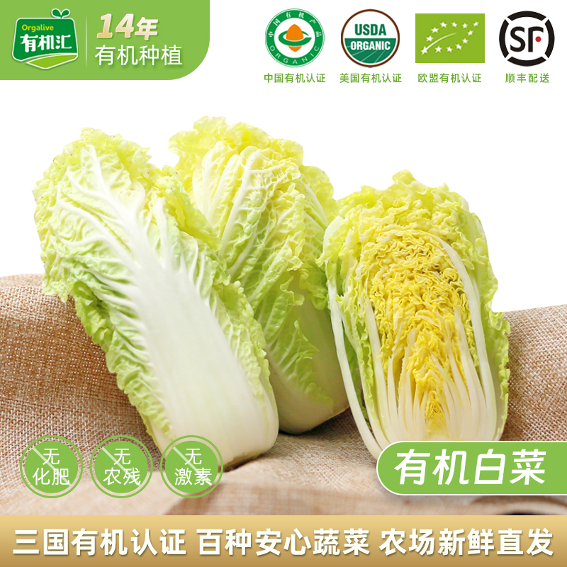有机汇有机大白菜新鲜配送