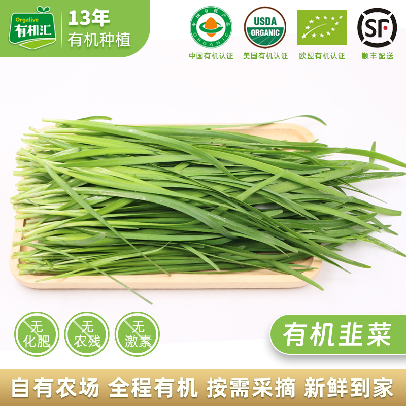 有机汇新鲜配送韭菜烧烤500g