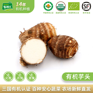 有机汇有机芋头 辅食蔬菜农家时令粉糯新鲜芋头香芋头芋艿无农残
