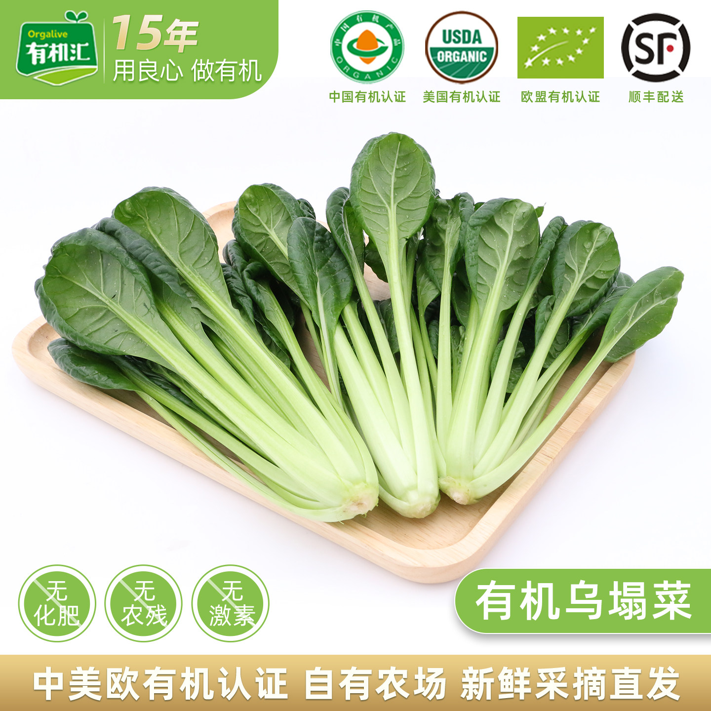 有机汇有机乌塌菜 无农残青菜新鲜蔬菜时令皱叶乌油冬儿全国发货