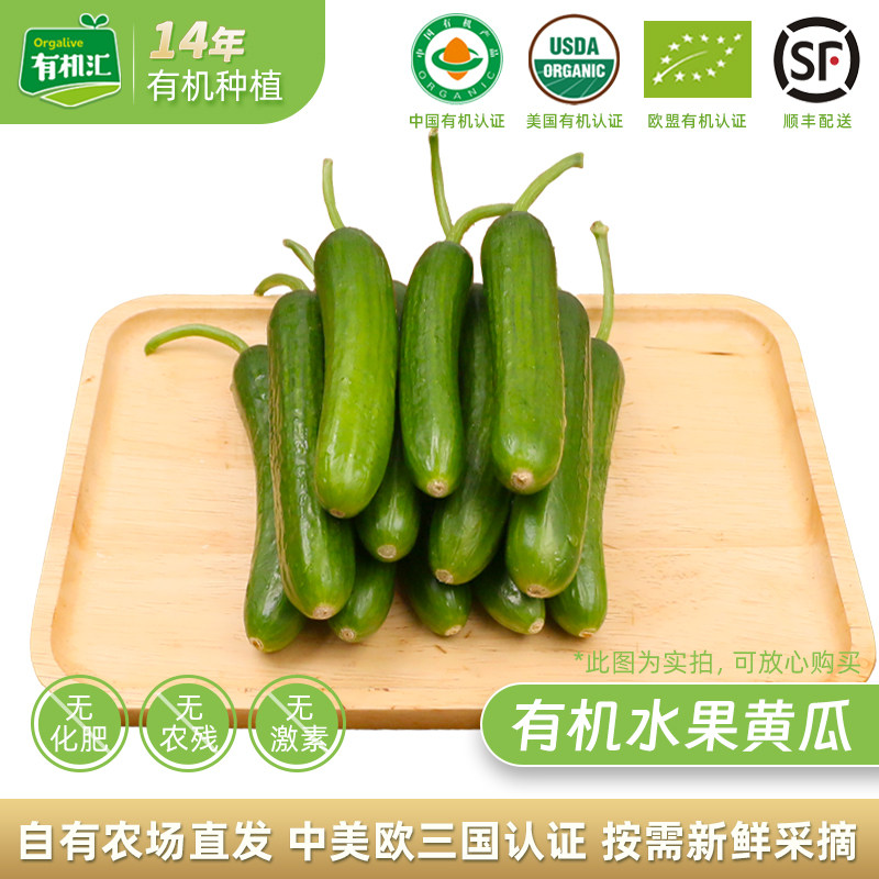 有机汇有机水果黄瓜 新鲜蔬菜健身配送生吃小黄瓜无刺沙拉有机菜,水产肉类/新鲜蔬果/熟食,黄瓜,淘宝优惠券,粉丝福利购,淘宝优惠卷