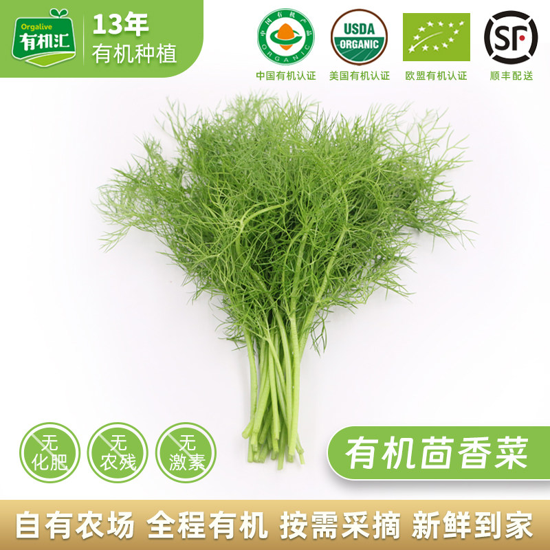 有机汇 有机茴香菜 新鲜蔬菜小茴香香丝菜青菜香辛调味现摘现发