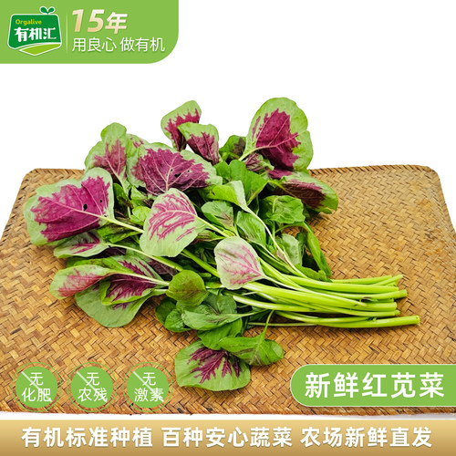 有机汇红苋菜500g无农残安心