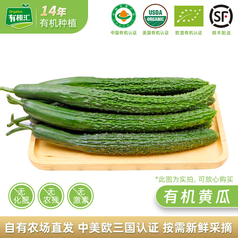 有机汇有机刺黄瓜 新鲜无农残蔬菜生吃健身轻食时令辅食沙拉榨汁