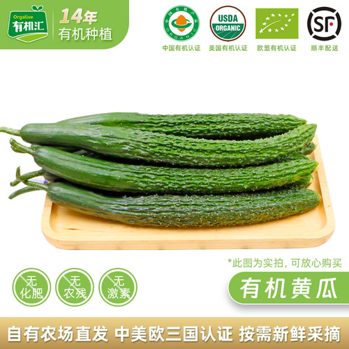 有机汇有机刺黄瓜辅食沙拉黄瓜